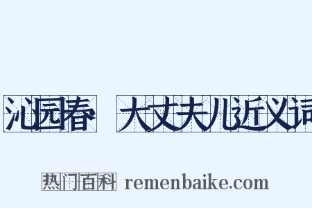 沁园春·大丈夫儿近义词是什么意思的图片